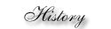 The History of Paps Ironworks